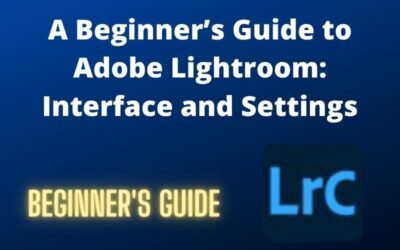 A Beginner’s Guide to Adobe Lightroom: Interface and Settings