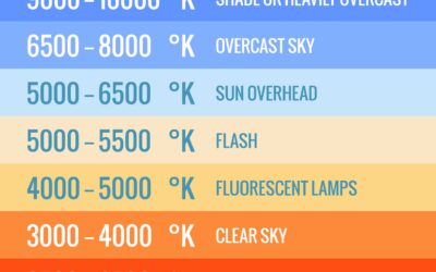 What is white balance and why is it important in photography?